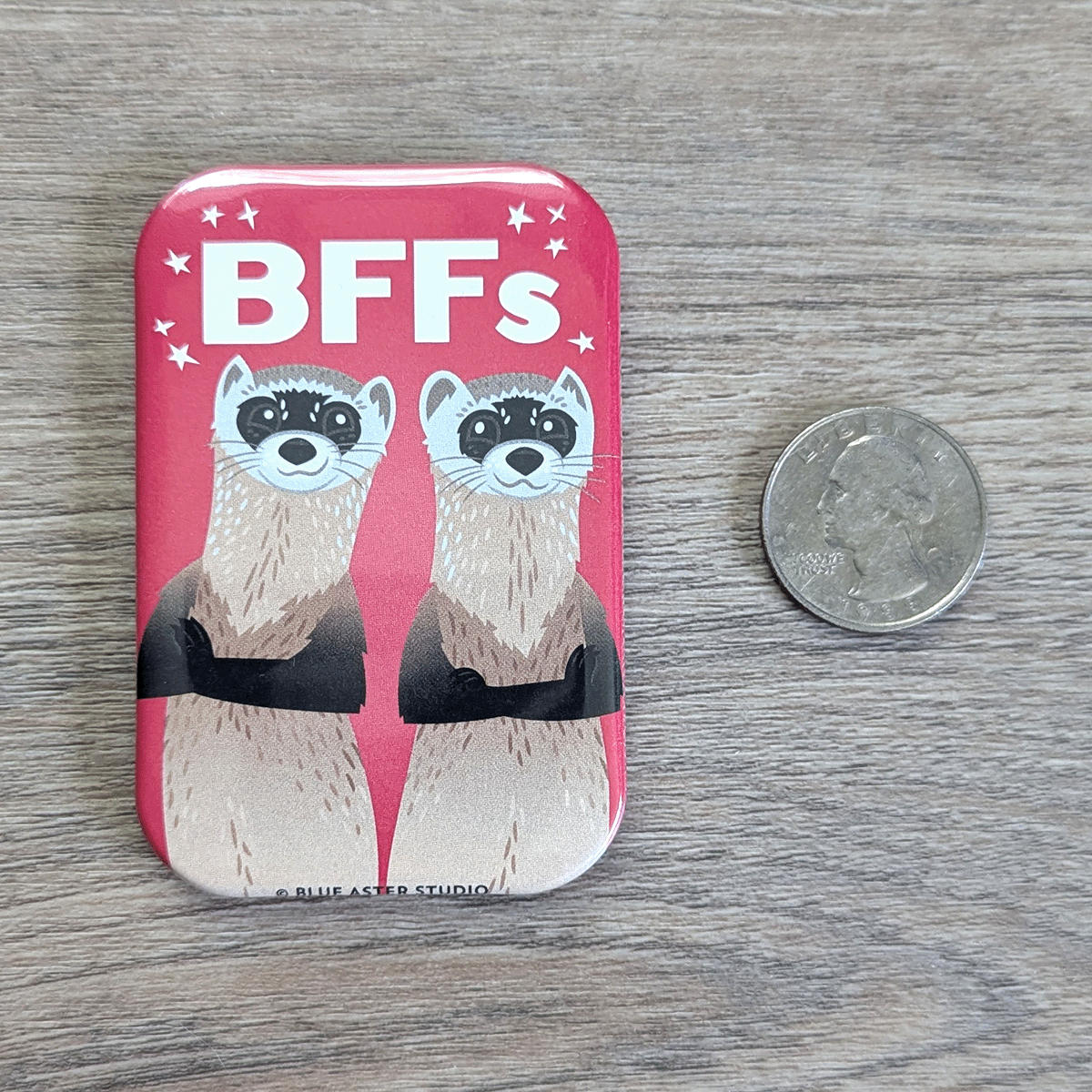The ferrets magnet next to a USD quarter to show scale.