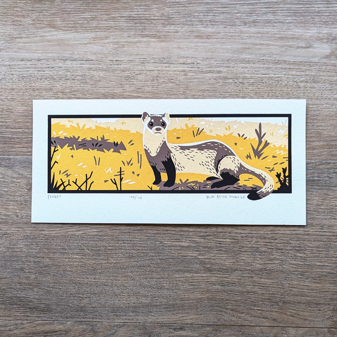 An original screen print of a black-footed ferret printed in four colors.