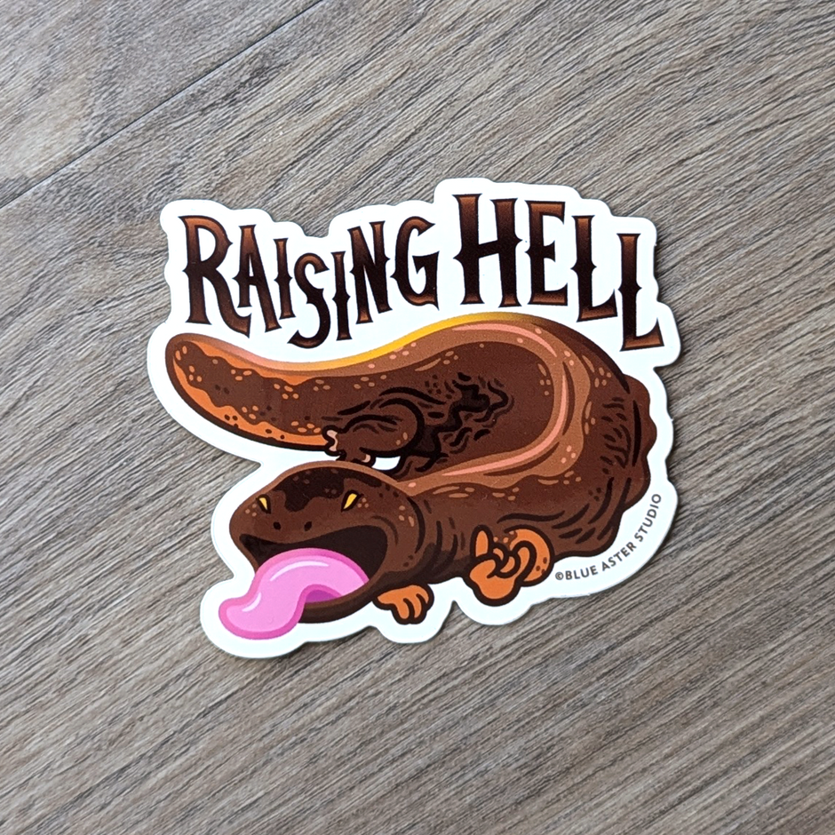 Blue Aster Studio | Nature-themed artwork and gifts