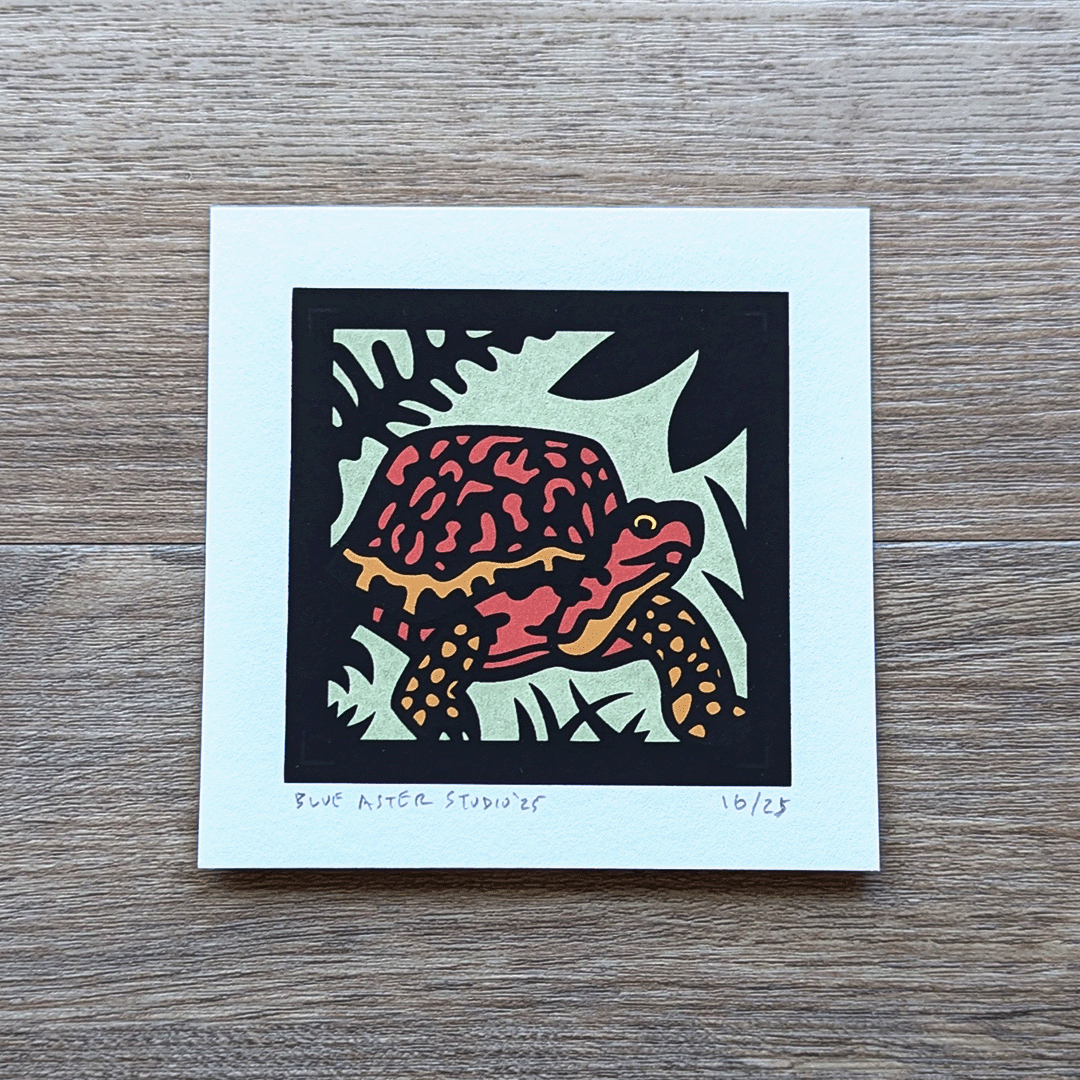 An original mini screen print of a box turtle printed in four colors.