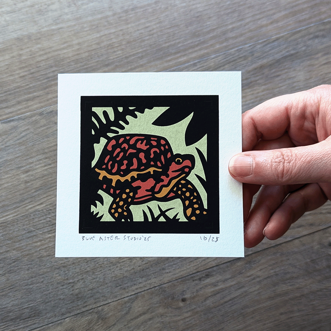 The 4x4 mini box turtle screen print being held in a hand.