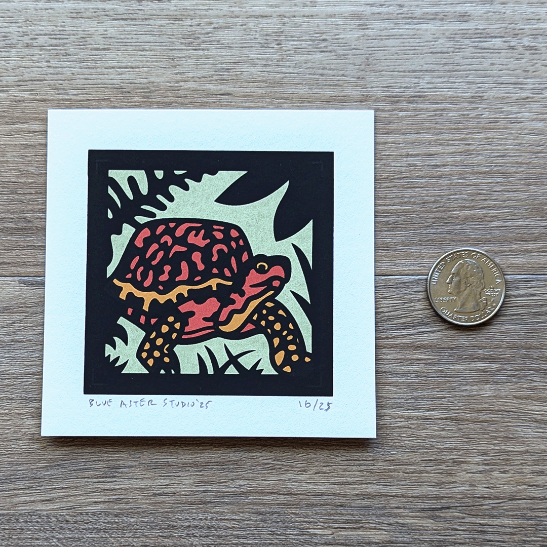 The box turtle screen print sitting next to a USD quarter for scale.