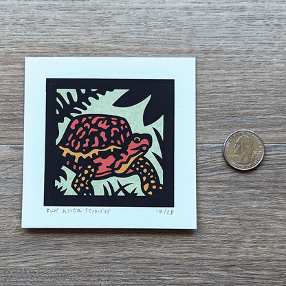 The box turtle screen print sitting next to a USD quarter for scale.