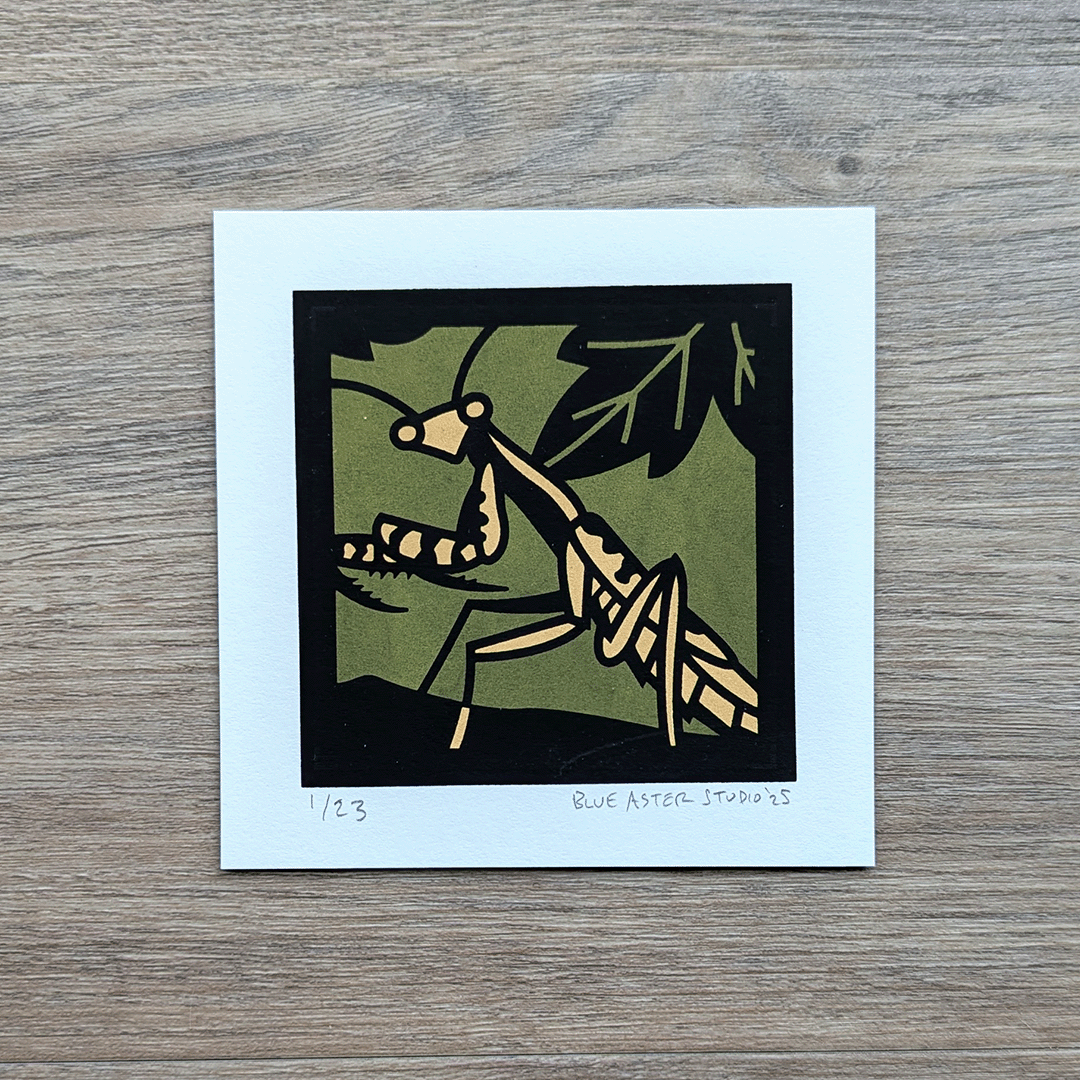 A 4x4 inch screen print of a carolina mantis surrounded by leaves printed in two shades of green and black.