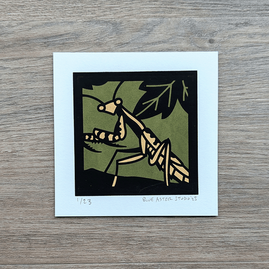 A 4x4 inch screen print of a carolina mantis surrounded by leaves printed in two shades of green and black.
