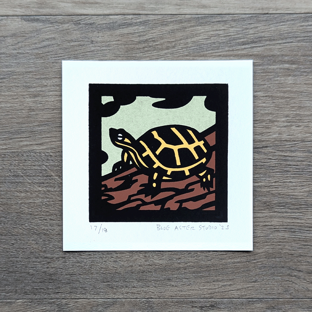Painted Turtle Mini Screen Print – Blue Aster Studio