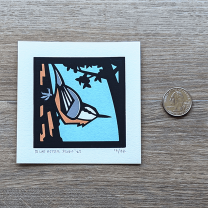 The mini nuthatch print sitting next to a USD quarter for scale.