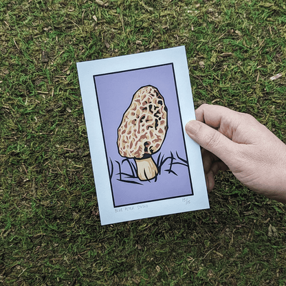 A hand holding the morel mushroom print to show scale of the 4x6 print.