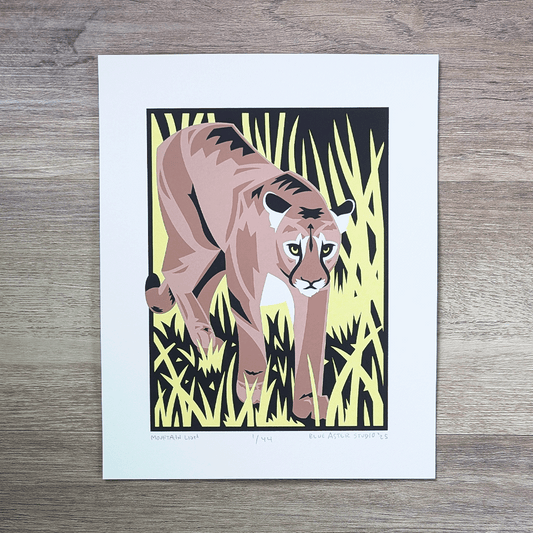 An 8 inch by 10 inch screen printed illustration of a mountain lion approaching and looking at the viewer while walking through talk grass.
