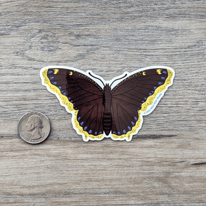 Sticker art of a brown butterfly with yellow wing edges lined with blue spots
