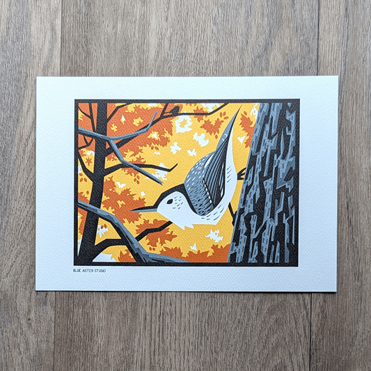 An illustration of a gray and white nut hatch perched on the side of a tree trunk with orange and yellow foliage in the background.
