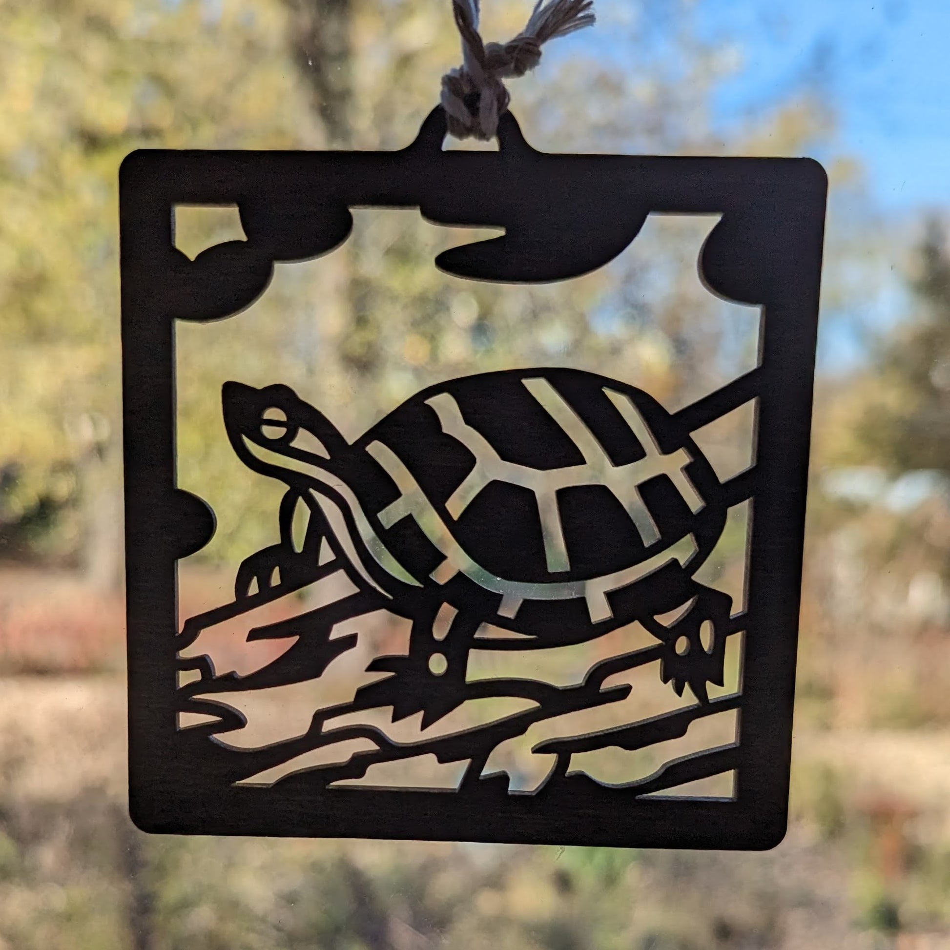 The green turtle ornament in silhouette in front of a window.