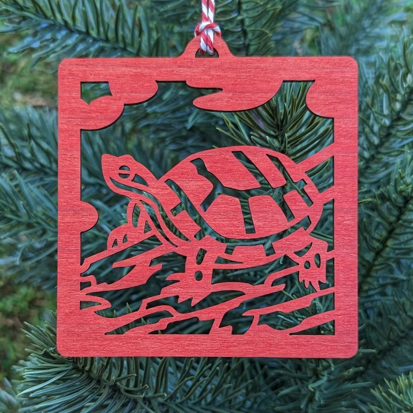 The red turtle ornament hung on an evergreen tree.