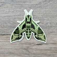 Load image into Gallery viewer, An illustrated sticker of a pandora sphinx moth, a hawk moth with different tones of green and tan markings on its wings.