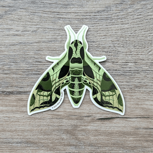 An illustrated sticker of a pandora sphinx moth, a hawk moth with different tones of green and tan markings on its wings.