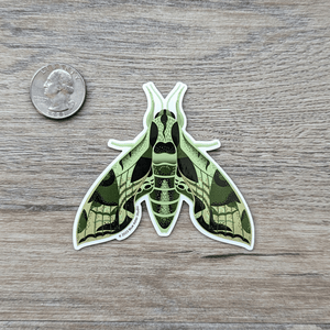 An illustrated sticker of a pandora sphinx moth, a hawk moth with different tones of green and tan markings on its wings.
