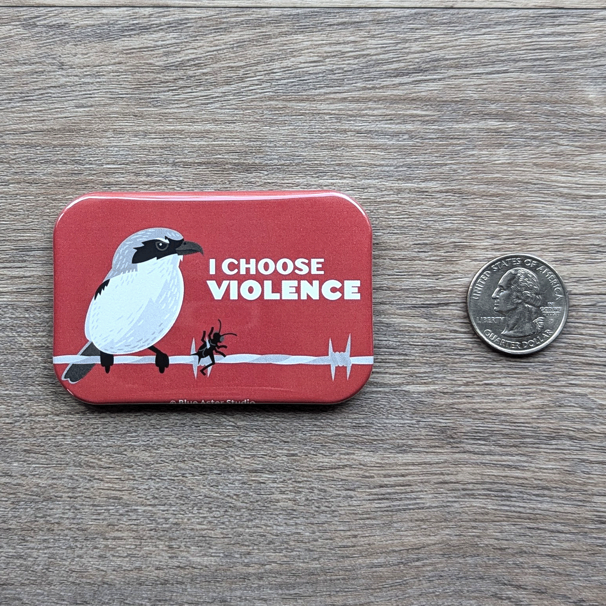 The shrike refrigerator magnet sitting next to a USD quarter for scale.