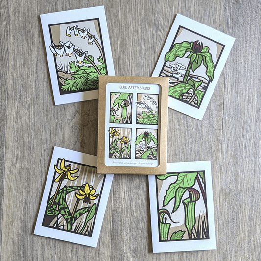 A box of cards featuring illustrations of spring ephemeral wildflowers.