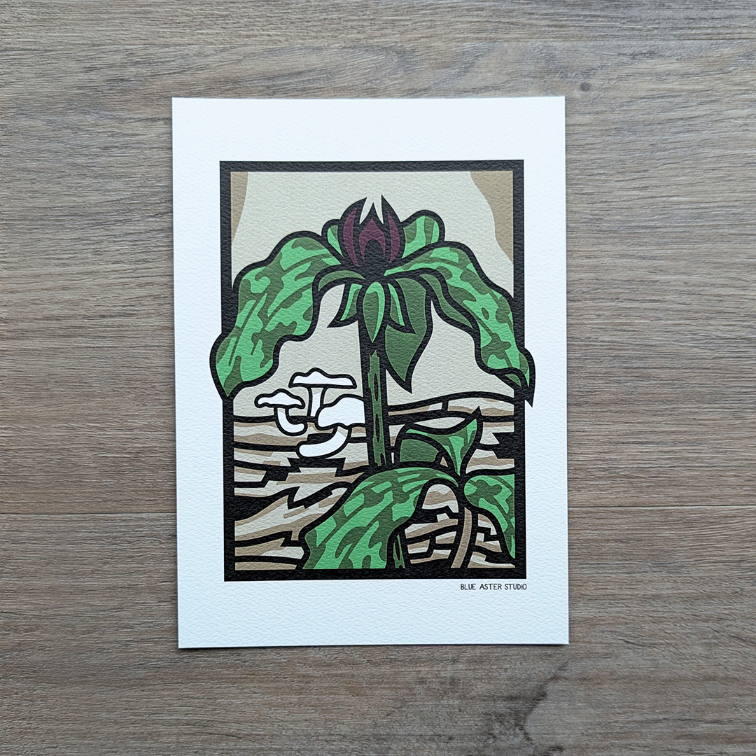 An art print featuring a trillium with deep red flower in front of a fallen log with mushrooms growing out of it