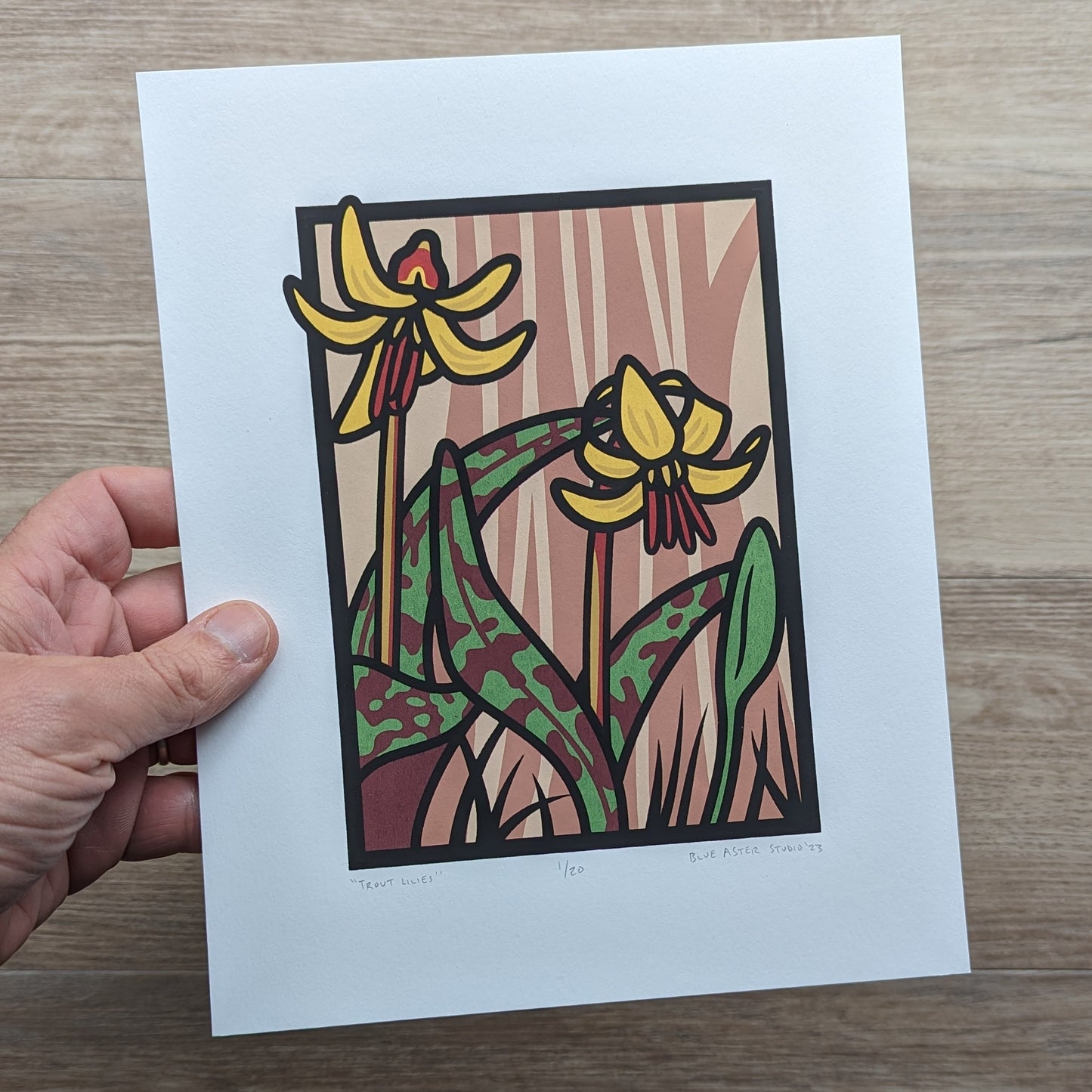 Screen printed illustration of two yellow trout lilies. Eight by ten inch print is held in hand to show scale.