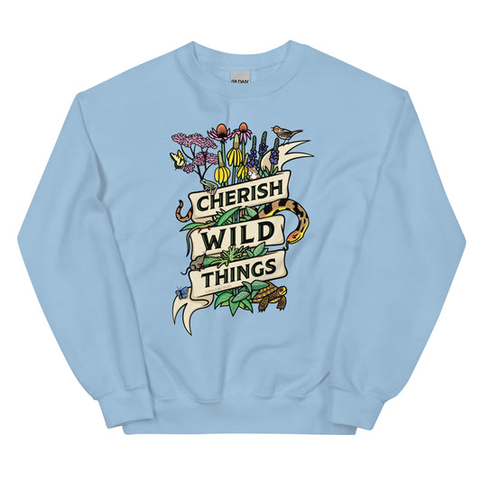 A light blue Cherish Wild Things sweatshirt.