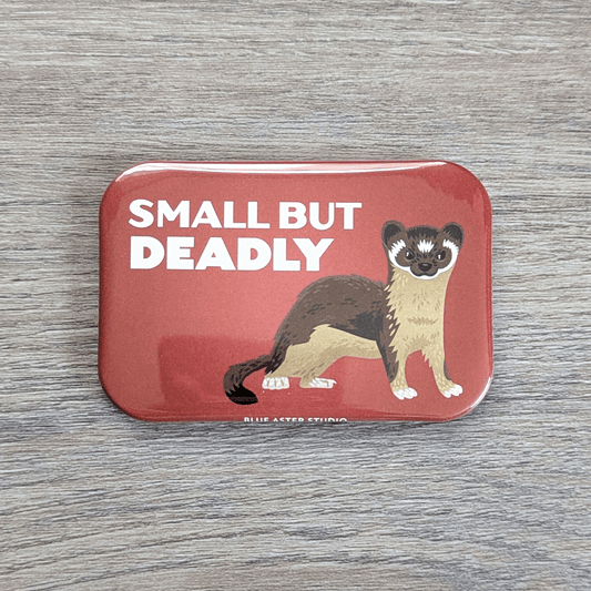 A rounded rectangle magnet featuring an illustration of a long-tailed weasel looking straight at the viewer under the text Small But Deadly.