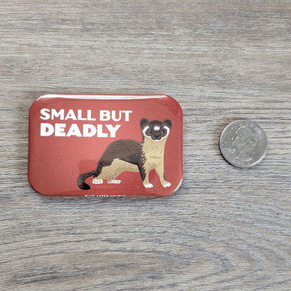The weasel magnet next to a USD quarter coin to show scale.