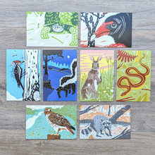 Load image into Gallery viewer, A collection of 8 postcards from this wildlife postcard set. The postcard illustrations include these animals: box turtle, turkey vulture, pileated woodpecker, skunk, rabbit, garter snake,, red-tailed hawk, and raccoon.