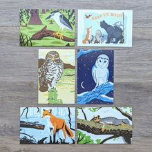 Load image into Gallery viewer, A collection of 8 postcards from this wildlife postcard set. The postcard illustrations include these animals: black-crowned night heron, Keep Us Wild, burrowing owl, barn owl, red fox, and fox squirrel.