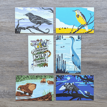 Load image into Gallery viewer, A collection of 8 postcards from this wildlife postcard set. The postcard illustrations include these animals: american crow, meadowlark, cherish wild things, great blue heron, beavers, and opossum family.