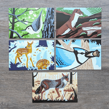 Load image into Gallery viewer, A collection of 8 postcards from this wildlife postcard set. The postcard illustrations include these animals: nuthatch, least weasel, fawns, blue jay, and coyote.