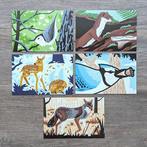 A collection of 8 postcards from this wildlife postcard set. The postcard illustrations include these animals: nuthatch, least weasel, fawns, blue jay, and coyote.