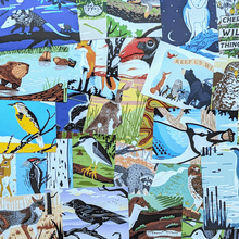 Load image into Gallery viewer, A collection of wildlife postcards in a messy pile to show a selection of the wildlife artwork included in the set.