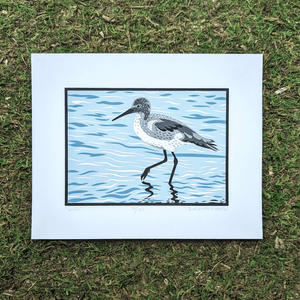 An original screen print of an illustration of a willet shorebird wading and foraging in shallow water. The print is sitting on a mossy background.