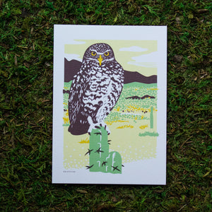 An art print of a burrowing owl perched on a cactus in the desert.