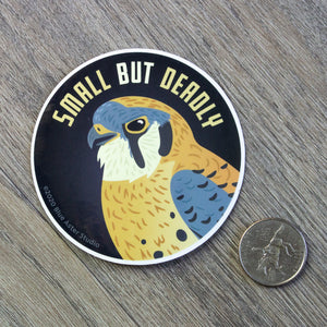 A 3 inch round vinyl sticker with an illustration of an American Kestrel and the words "Small But Deadly" next to a US quarter for scale.