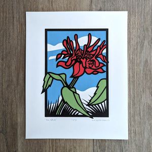 A handmade screen print of the wildflower Scarlet Bee Balm or Monarda didyma, a native plant in the eastern United States
