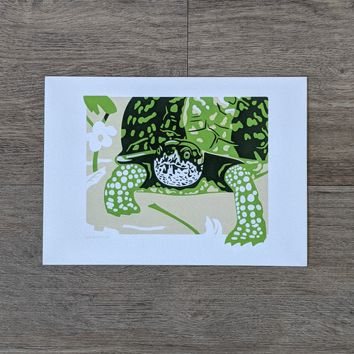 An art print of a box turtle with a mayapple plant.