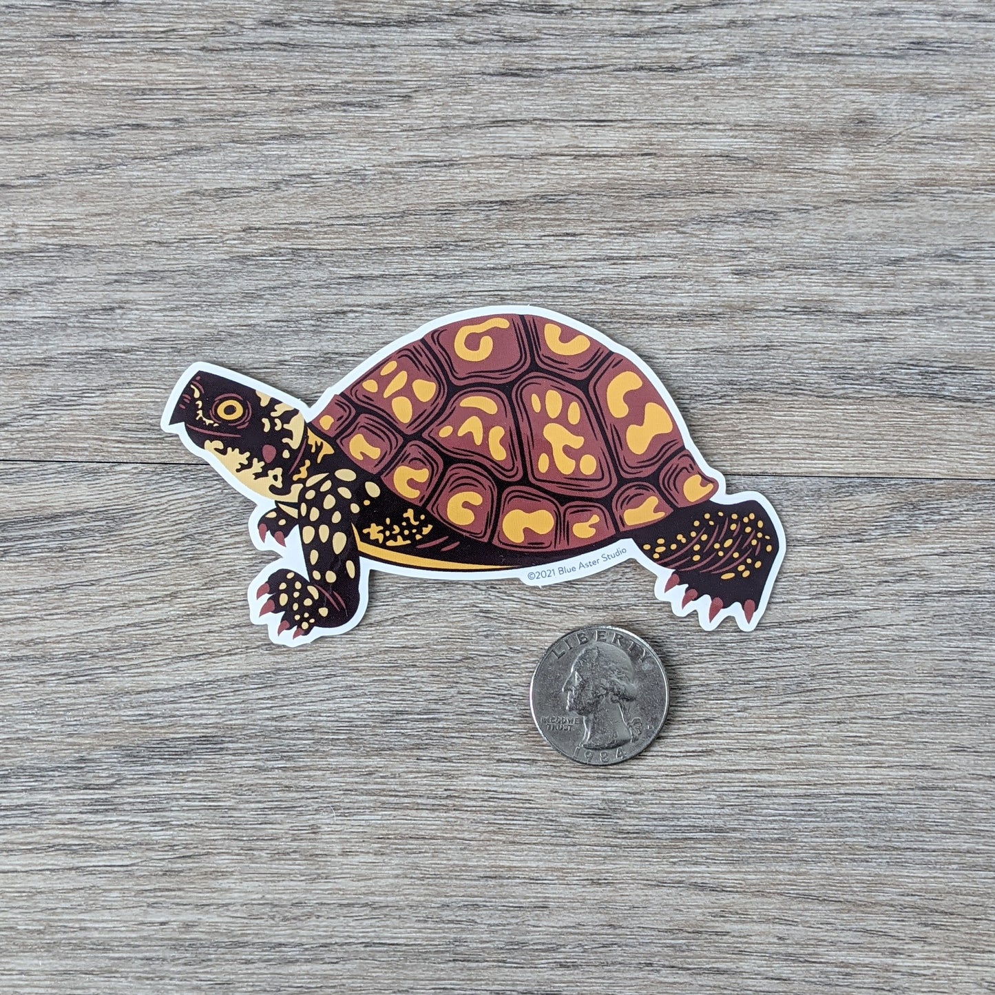 An Eastern box turtle sticker next to a USD quarter to show scale.