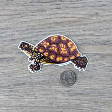 Load image into Gallery viewer, An Eastern box turtle sticker next to a USD quarter to show scale.