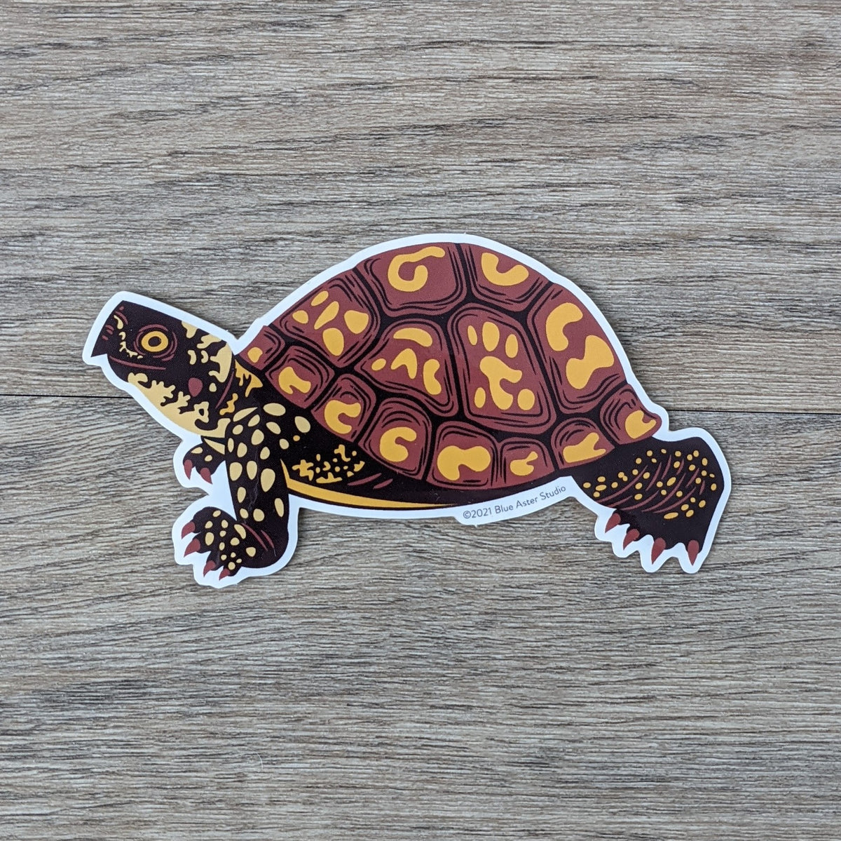 Box Turtle Sticker – Blue Aster Studio