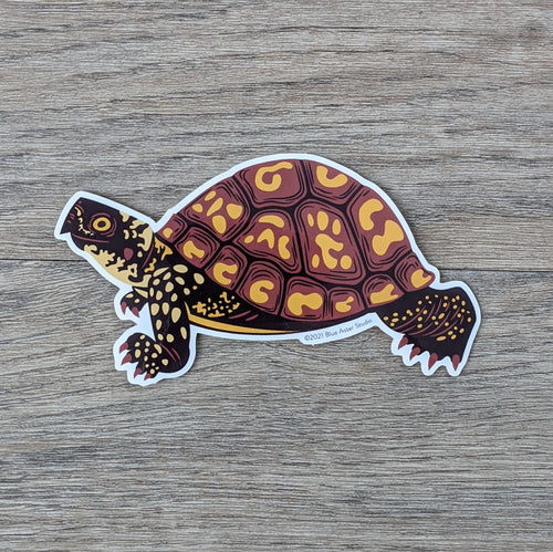 An illustrated Eastern box turtle vinyl sticker. The turtle has a brown and yellow coloration.