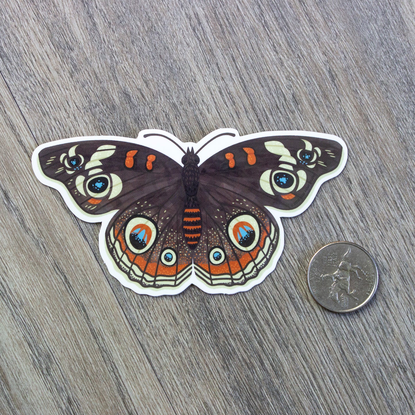 A vinyl sticker of a buckeye butterfly next to a USD quarter for scale