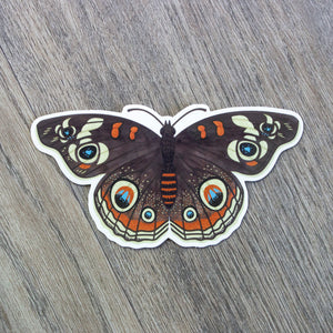 A vinyl sticker of a buckeye butterfly.