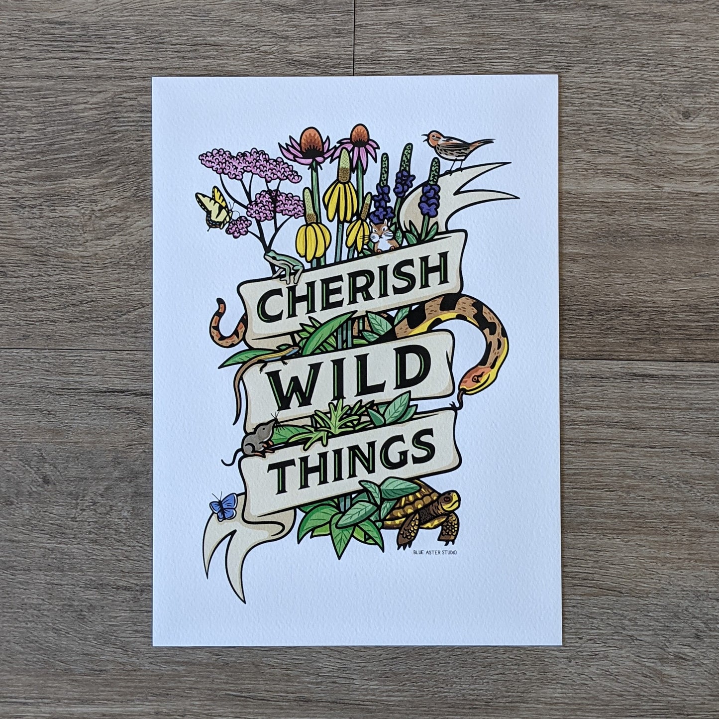 A botanical illustration of a collection of prairie plants such as Joe Pye weed, purple coneflower, vervain, and tall headed cone flower as well as critters commonly found in the prairie such as a snake, turtle, butterfly, bird, frog, chipmunk, vole, and lizard. They are all wrapped in a ribbon that has the words "Cherish Wild Things"