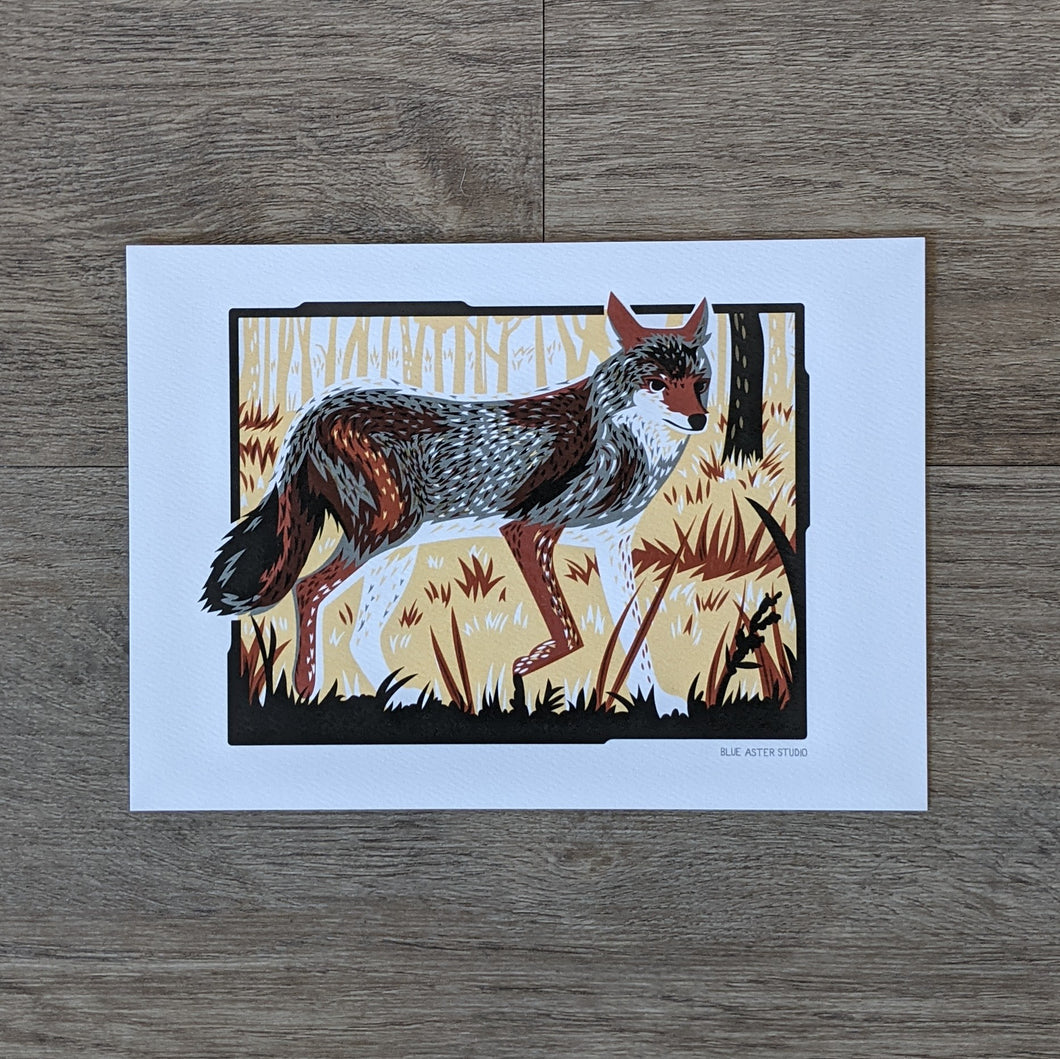 A 5x7 art print of a coyote in the underbrush of a woodland setting. Printed in grays, browns, and black.