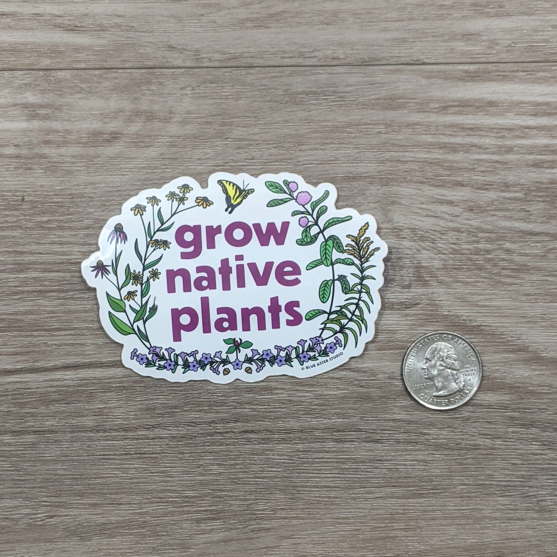 Grow Sticker Grow Native Plants Sticker – Blue Aster Studio