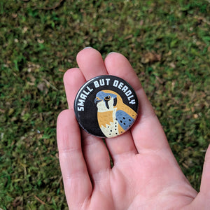 Hand holding the American kestrel button.