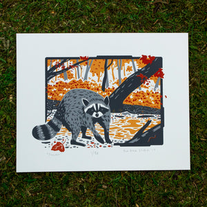 A screen print of a raccoon near a creek bed surrounded by orange and red fall foliage.