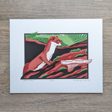 Load image into Gallery viewer, An original screen print of a least weasel surrounded by ferns, moss, and a mushroom. This is a five color screen print that is signed and numbered.